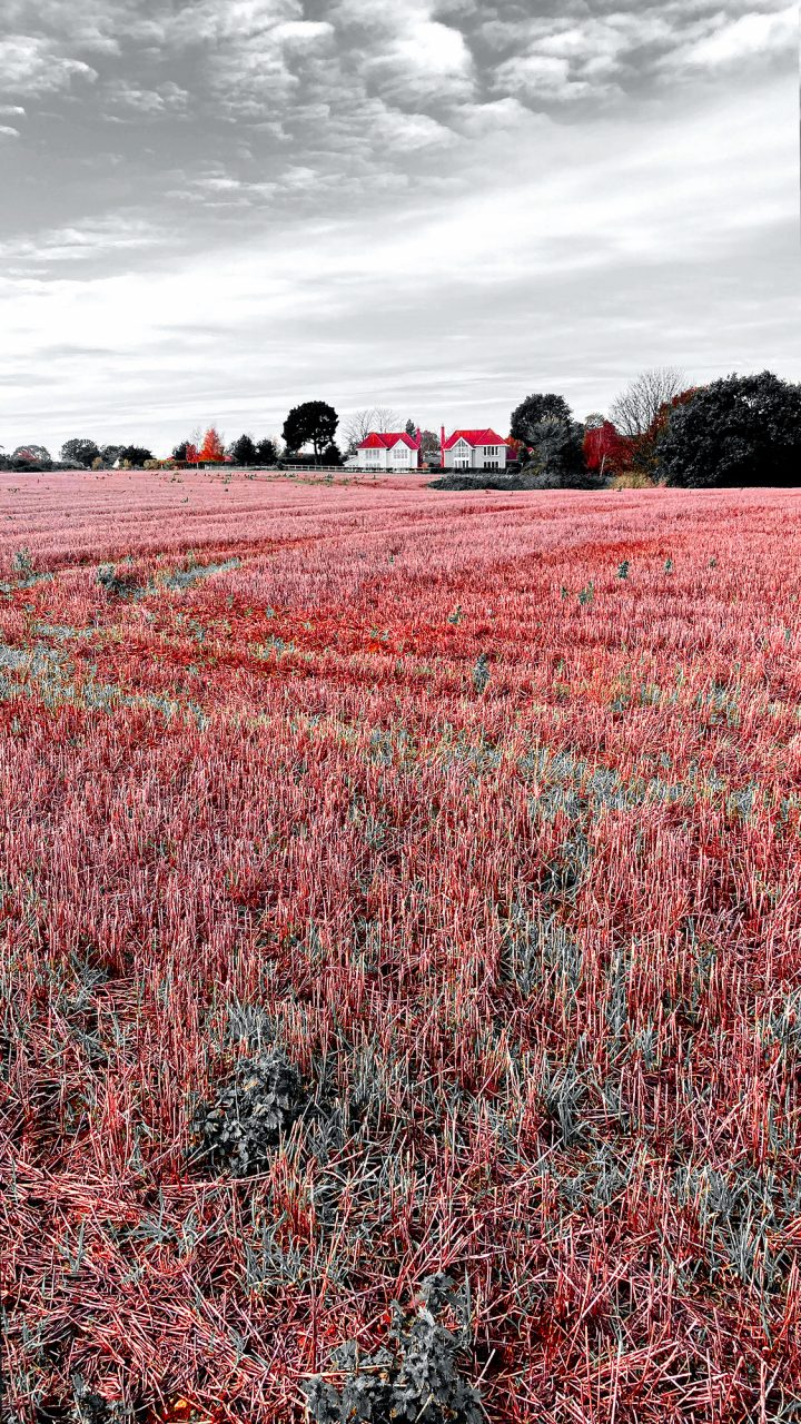 Beautiful Fine Art Photography Print to Buy