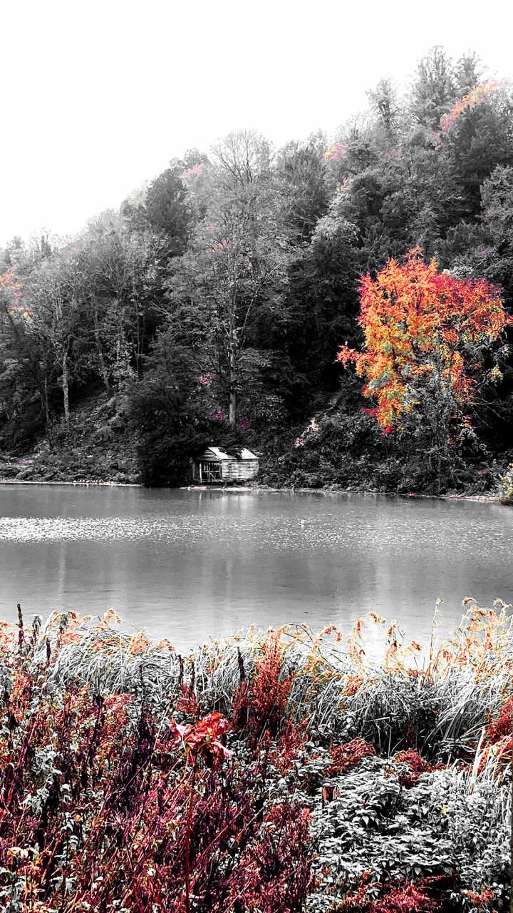 Beautiful Fine Art Photography Print to Buy