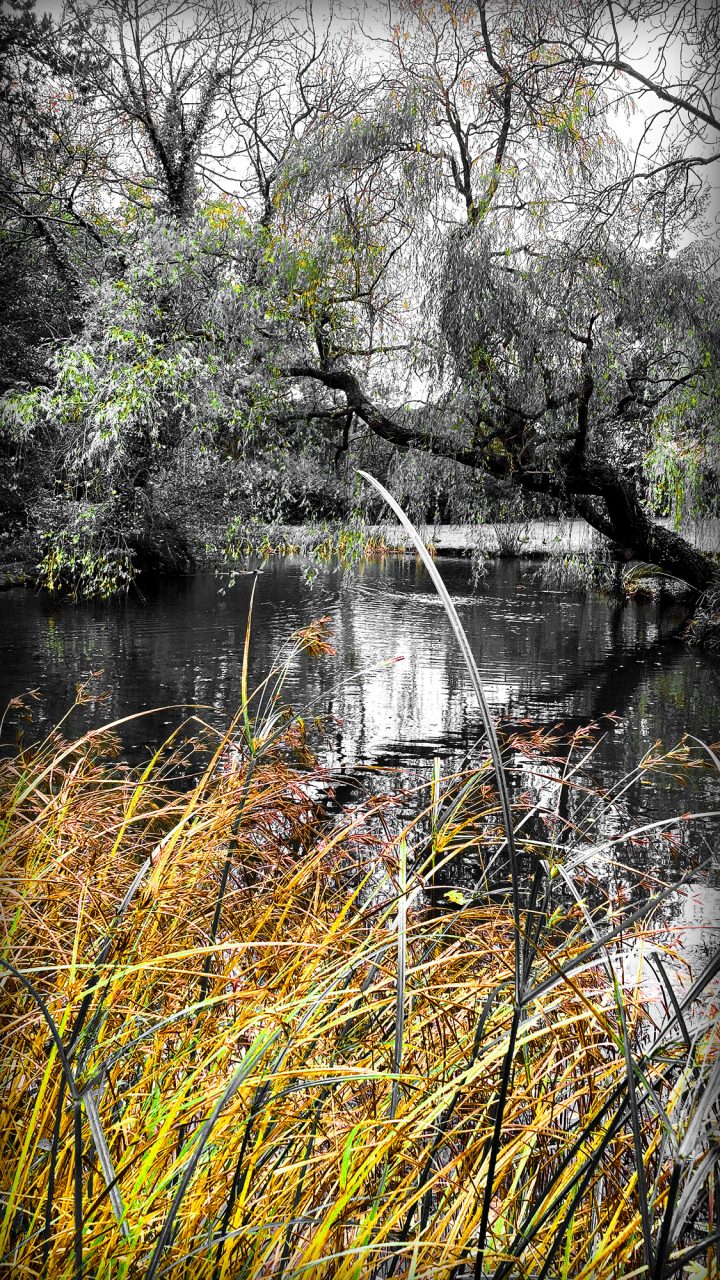 Beautiful Fine Art Photography Print to Buy