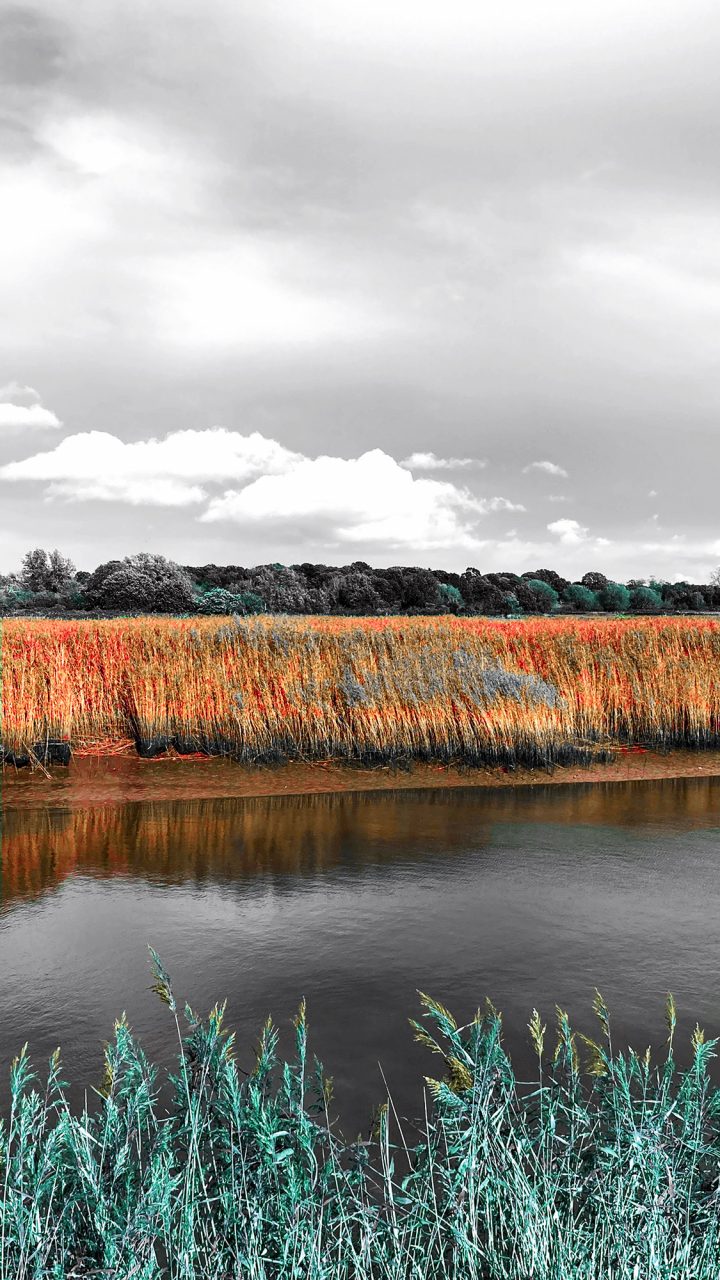 Beautiful Fine Art Photography Print to Buy