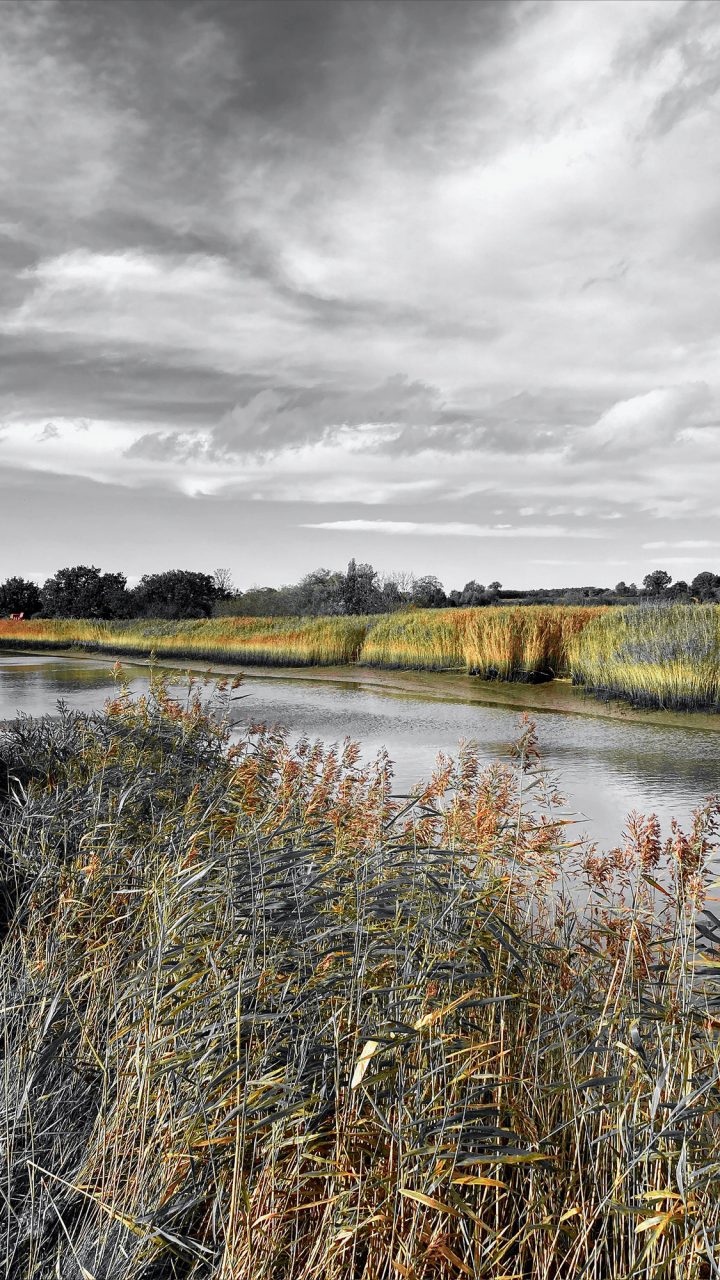 Beautiful Fine Art Photography Print to Buy