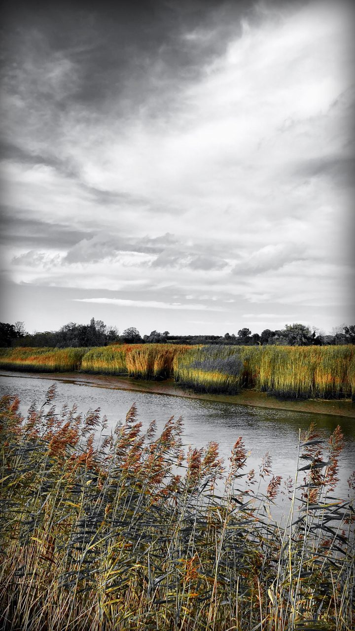 Beautiful Fine Art Photography Print to Buy