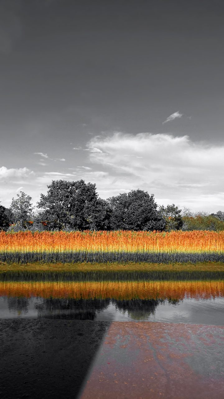 Beautiful Fine Art Photography Print to Buy