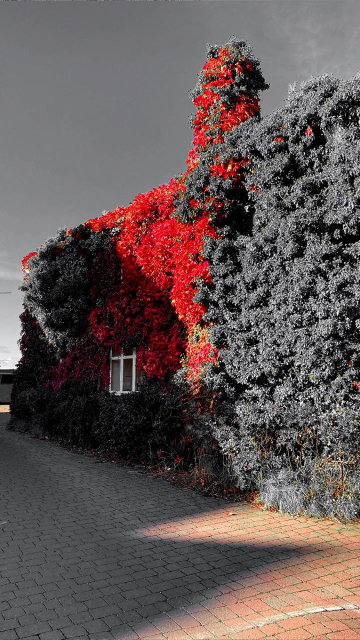 Beautiful Fine Art Photography Print to Buy