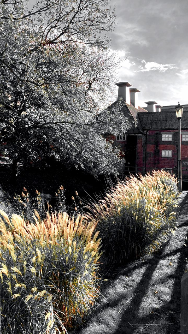 Beautiful Fine Art Photography Print to Buy