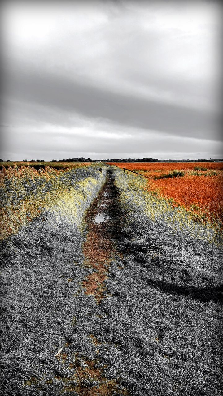 Beautiful Fine Art Photography Print to Buy