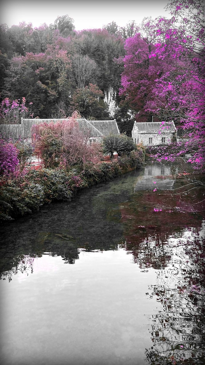 Beautiful Fine Art Photography Print to Buy