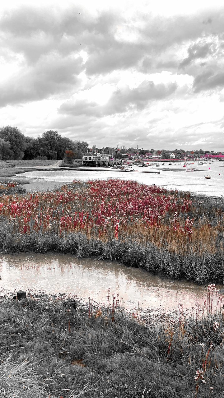 Beautiful Fine Art Photography Print to Buy