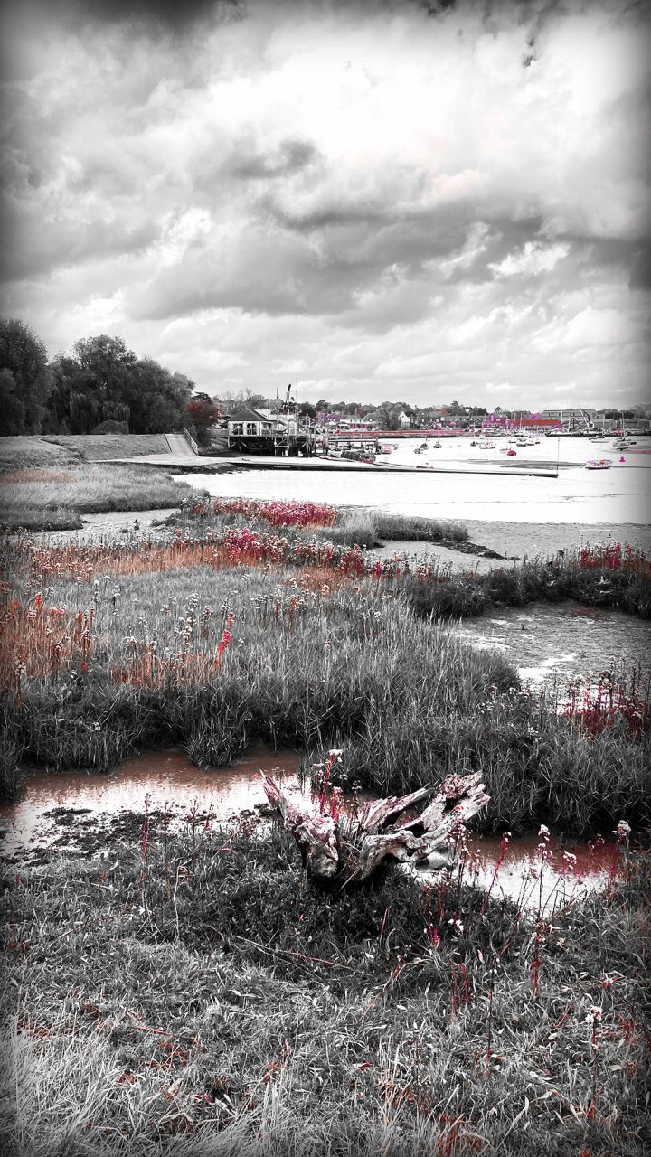 Beautiful Fine Art Photography Print to Buy