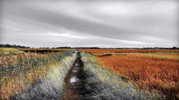 Beautiful Fine Art Photography Print to Buy