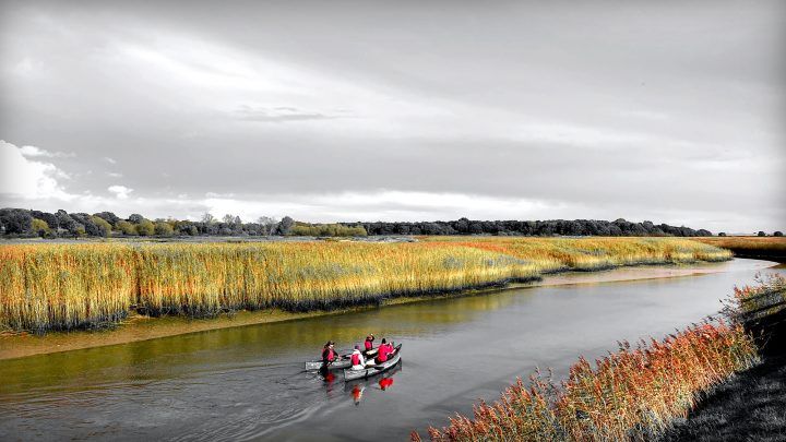 Beautiful Fine Art Photography Print to Buy