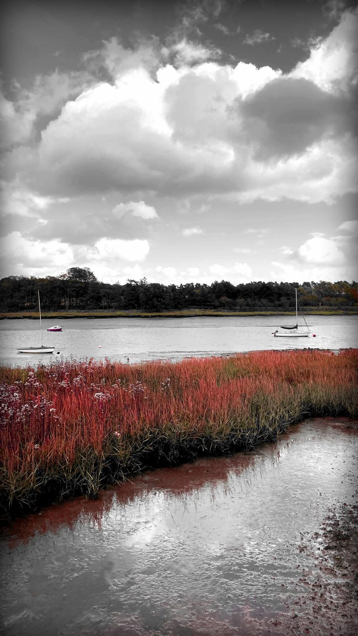 Beautiful Fine Art Photography Print to Buy