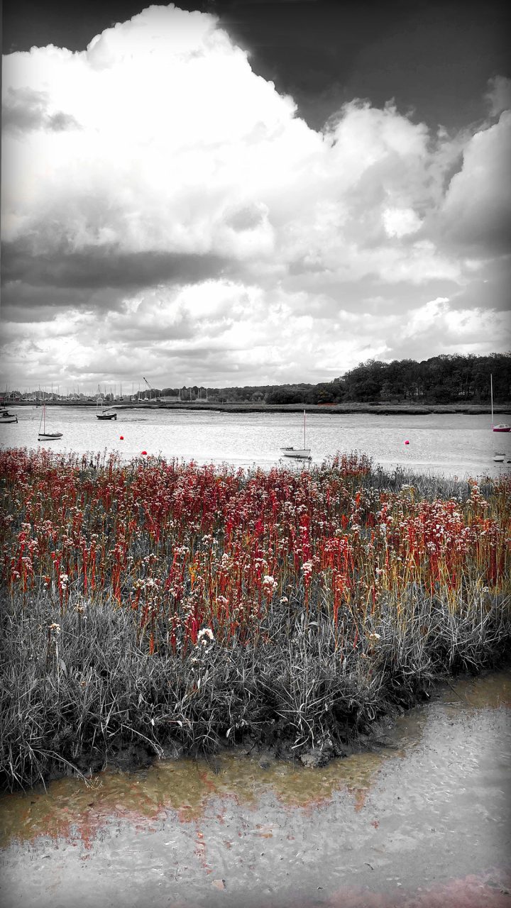 Beautiful Fine Art Photography Print to Buy