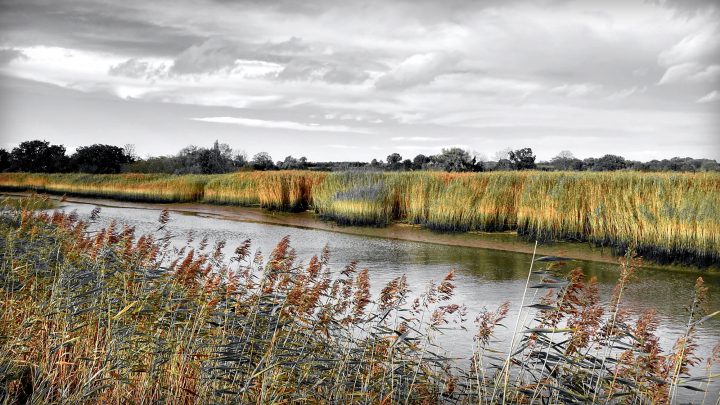 Beautiful Fine Art Photography Print to Buy