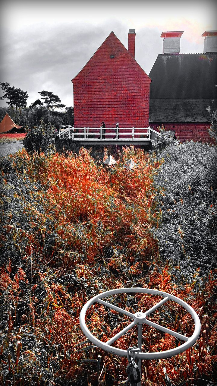 Beautiful Fine Art Photography Print to Buy