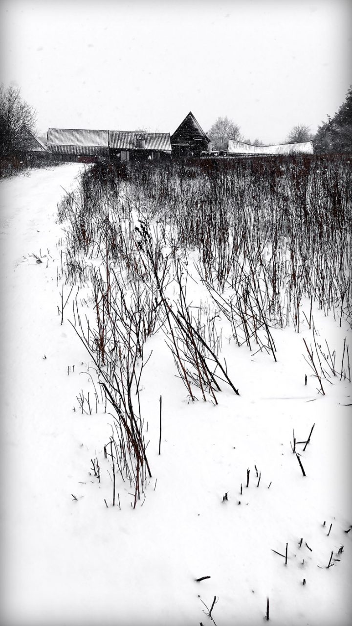 Beautiful Fine Art Photography Print to Buy