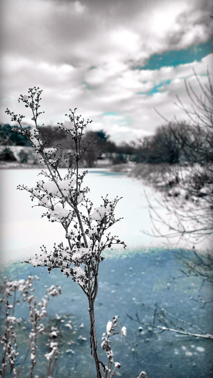 Beautiful Fine Art Photography Print to Buy