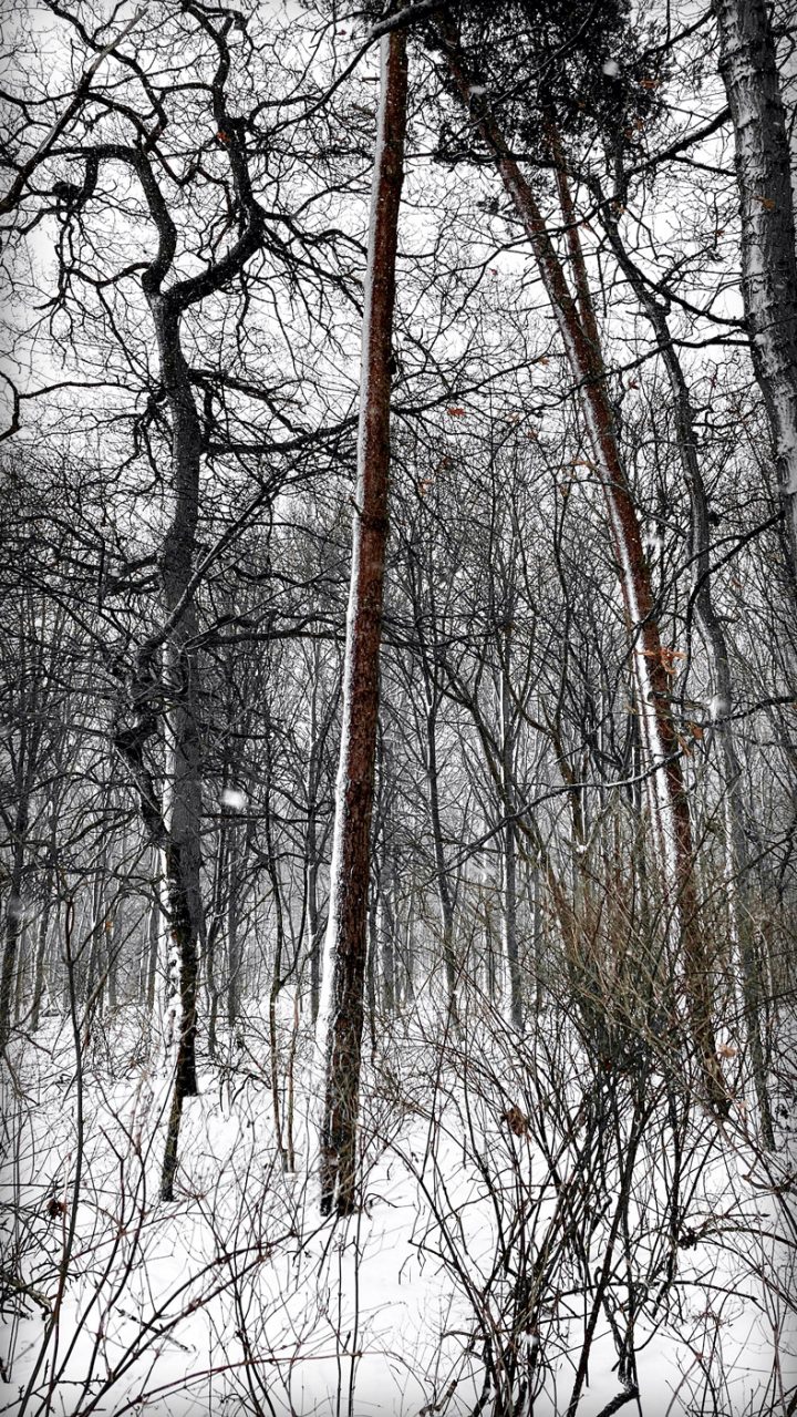 Beautiful Fine Art Photography Print to Buy